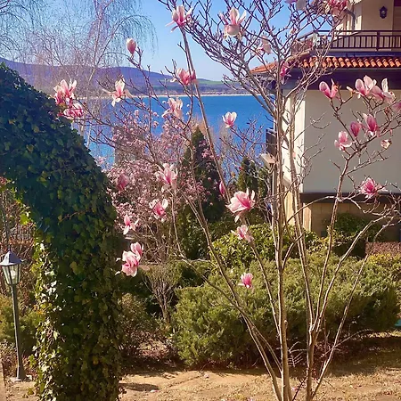 Aj 8, Santa Marina Village, *